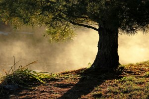 Morning Fog On Moolight Bay